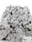 Shakti Psilocybe cubensis