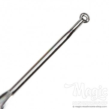 inoculation or smear loop inoculation or smear loop