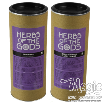 Ayahuasca Pack #1 | Classic