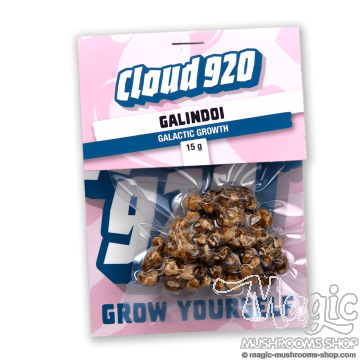 Psilocybe Galindoi Magic Truffles