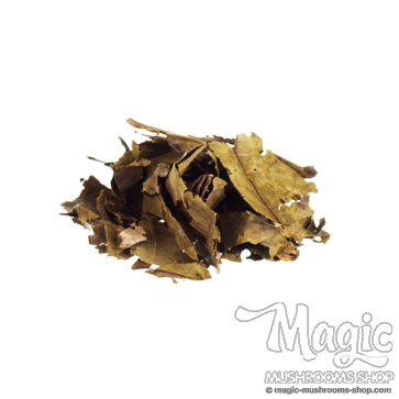  Chaliponga | Diplopterys cabrerana 