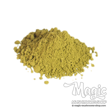 Damiana | Turnera Diffusa Powder Damiana | Turnera Diffusa Powder