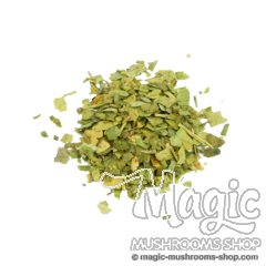 Ginkgo Biloba Shredded Ginkgo Biloba Shredded