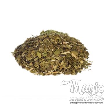  Yerba Mate | Ilex paraguariensis Shredded