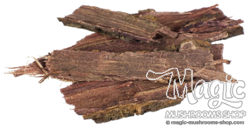 Mimosa hostilis Jurema Preta  Rootbark DMT