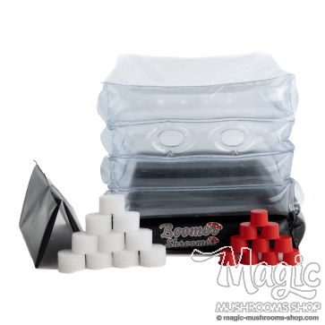 Monotub gonflable Boomer Shroomer