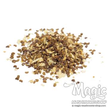 Kanna seeds, Sceletium tortuosum