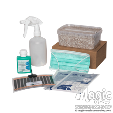 Myceliumbox Starter Pack