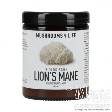 Lion's Mane Hericium erinaceus Powder | Mushrooms4life