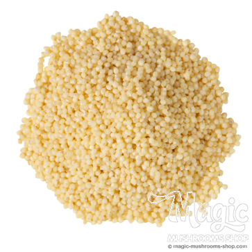 Millet