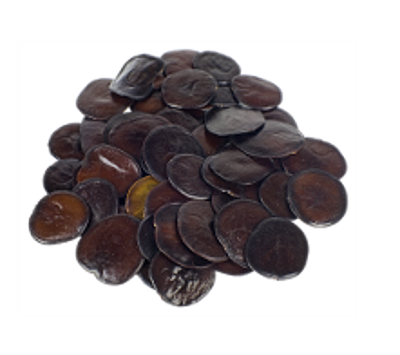 Yopo seeds | Anadenanthera peregrina 