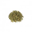 Maconha Brava  Zornia latifolia