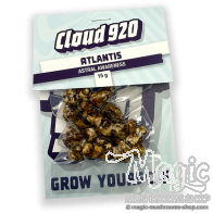Atlantis Truffes | 15 grammes