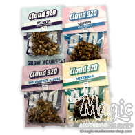 Pack de truffes magiques classiques