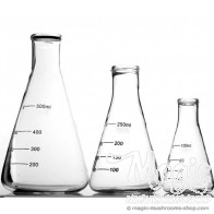 Fiole Erlenmeyer à col large