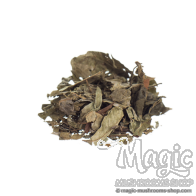 Chacruna Psychotria viridis  