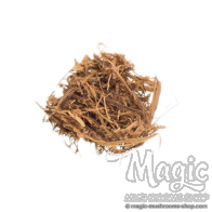 Clavo Huasca Powder | Tynnanthus Panurensis