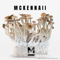 Mondo® Kit de culture McKennaii