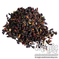 Rue de Syrie (Peganum harmala)