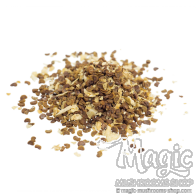 Kanna | Sceletium tortuosum | 10 seeds