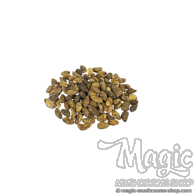 Voacanga Africana graines