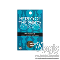 Wild Dagga | Leonotis Leonorus | Extract 20x