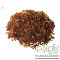 Wild Dagga | Leonotis Leonorus | Flower