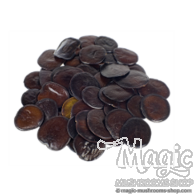 Yopo seeds | Anadenanthera peregrina 