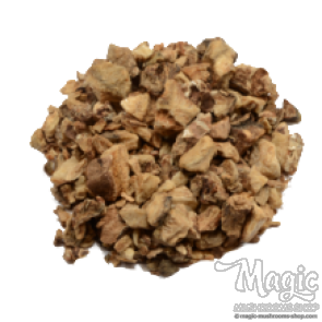 Devil's Claw Harpagophytum Procumbens