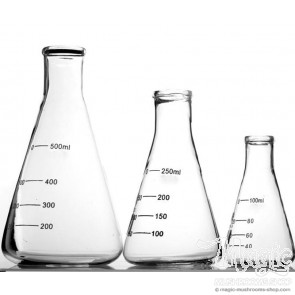 Erlenmeyer Flasks with rubber bung