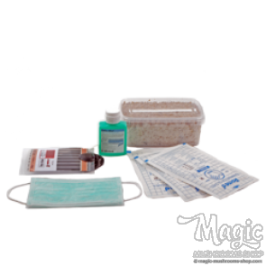 FreshMushrooms® kit d'introduction