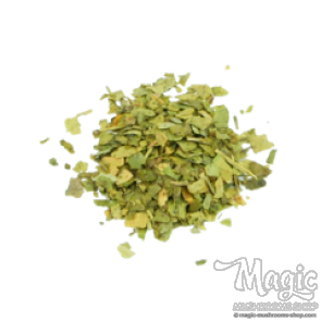 Ginkgo Biloba Shredded