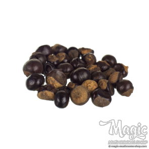 Guarana nut | Gives Energy!