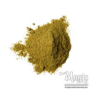 Muira Puama | Ptychopetalum Olacoides | Extract 25x