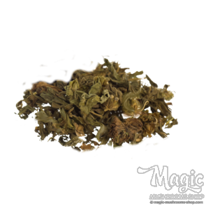 Klip Dagga | Leonotis nepetifolia