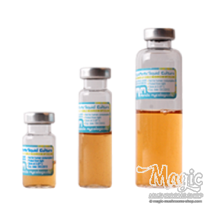 Liquid Culture 5, 10, 25ml Liquid Culture 5, 10, 25ml