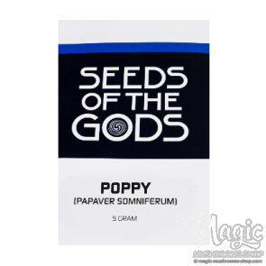 Poppy | Papaver Somniferum