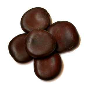 African Dream Seed | Entada Rheedii - 1 seed