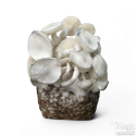Jedi Mind Fuck Leucistic Cloud920® XL Sac prêt-à-pousser