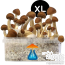 GetMagic B+ XL Grow Kit