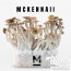 McKennaii Magic Mushroom grow kits