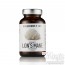 Lion’s Mane Hericium erinaceus Capsules