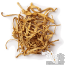  Cordyceps Mushroom Supplement Capsules | Mushrooms4life