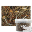 Kit de culture extérieur Psilocybe azurescens (Photos de Caleb Brown, via Wikimedia Commons)