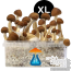 GetMagic B+ XL Grow Kit
