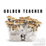 Golden Teacher Magic Mushroom Grow kit