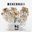 McKennaii Magic Mushroom grow kits