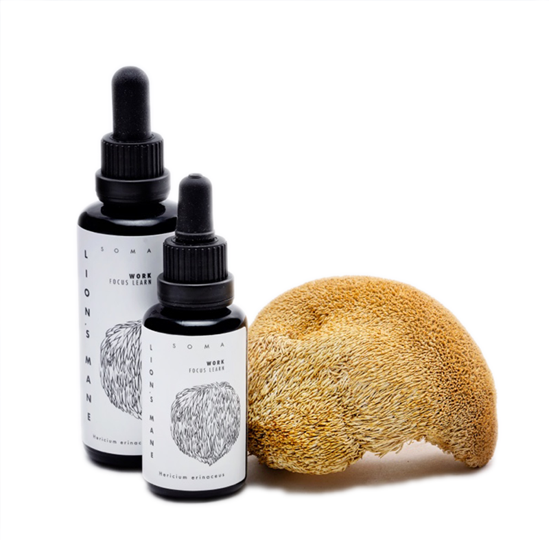 Lion's Mane tincture