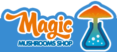Magic Mushrooms Shop Amsterdam