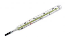 Welche Temperatur ist ideal für den Anbau von Magic Mushrooms?